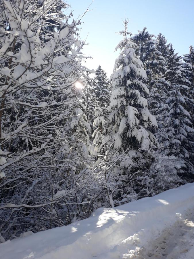 Lovely Apartment In Old Town 400M From City Center Sebilj SJJ Esterno foto